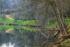 Winkworth Arboretum