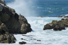 Monterey 