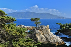 Pebble Beach 